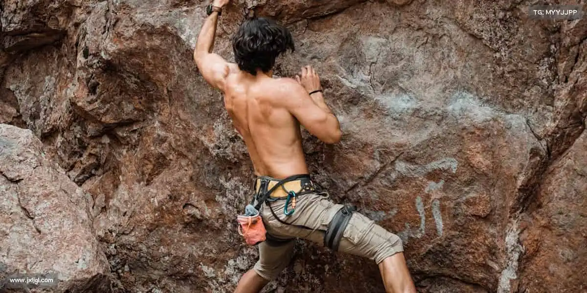 为什么选择我们